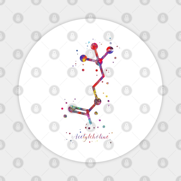Acetylcholine molecule Magnet by RosaliArt